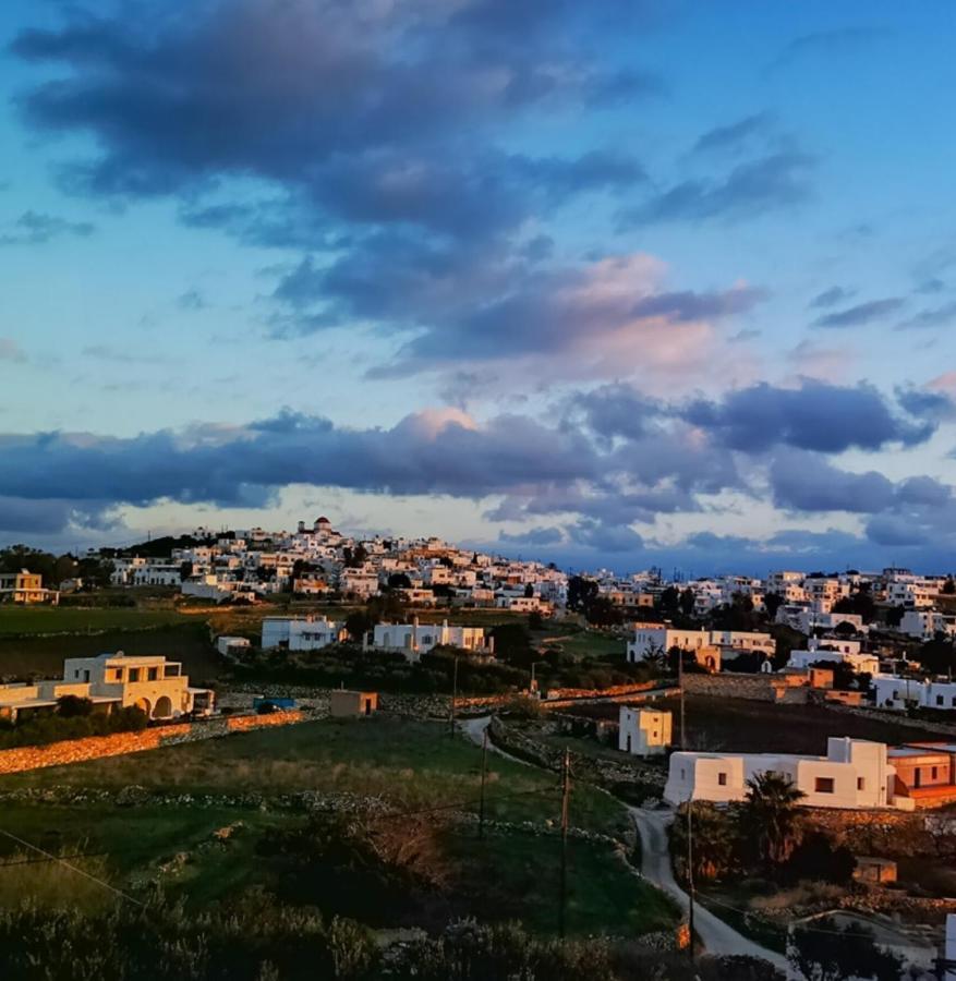 Amphitrite'S Haven - Cycladic House In Marpissa, Paros Villa Eksteriør bilde
